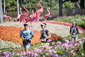 BIB: 
                            <button type="button" onclick="openModal(27793293)" class="btn btn-primary btn-sm float-right btn-popup" data-toggle="modal" data-target=".modal-high-quality">
                        <i class="fas fa-shopping-cart"></i> Add to Cart
                    </button>
                                            <button type="button" onclick="isThisMe(27793293, true)" class="btn btn-success btn-sm float-right btn-popup btn-isme hidden" data-toggle="tooltip" data-placement="bottom" title="นี่คือรูปของคุณใช่ไหม คลิกที่นี่เพื่อเอาเข้าอัลบั้ม">
                        <i class="fas fa-plus"></i> Add to album
                    </button>
                    <button type="button" onclick="isThisMe(27793293, false)" class="btn btn-warning btn-sm float-right btn-popup btn-isnotme hidden">
                        <i class="fas fa-ban"></i> Remove from album
                    </button>